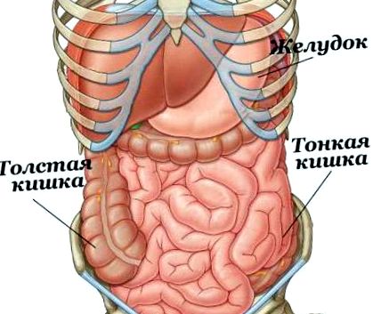 проверите