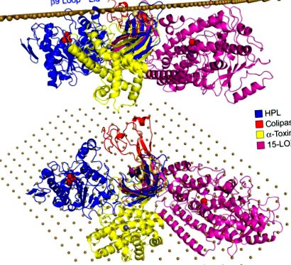 sciencedirect