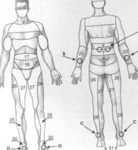 diagramele