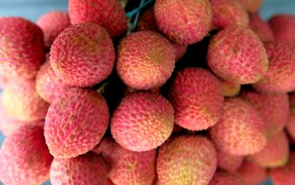 litchi