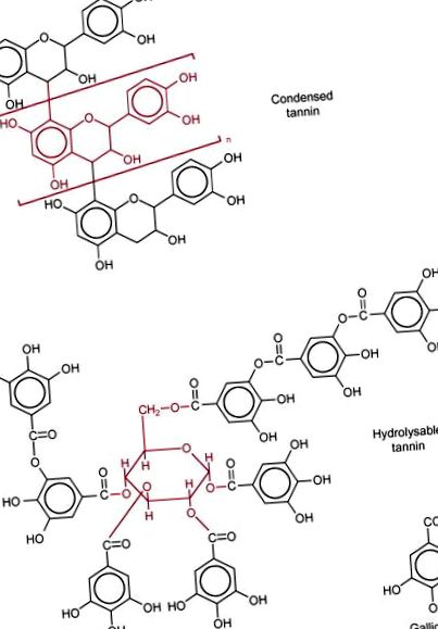 sciencedirect