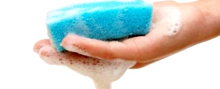 bodysponge