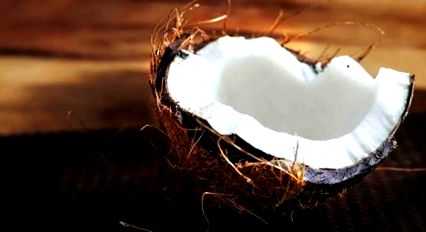 кокосова