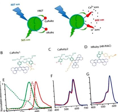 nanobiosenzori