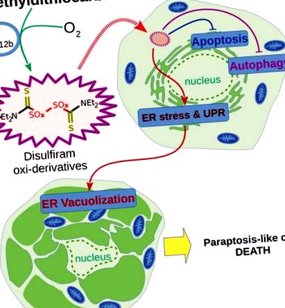 biomolecule