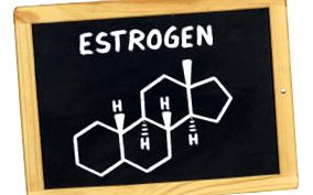 естроген