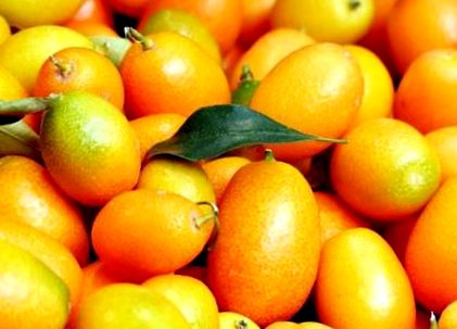 kumquats