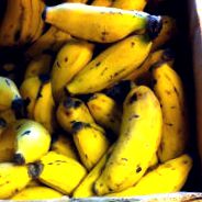 бананите