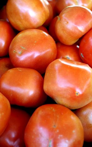 tomatele