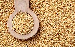 pseudograins