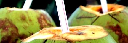 кокосовата