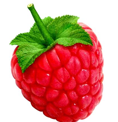 raspberry