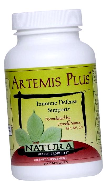 Artemisia annua