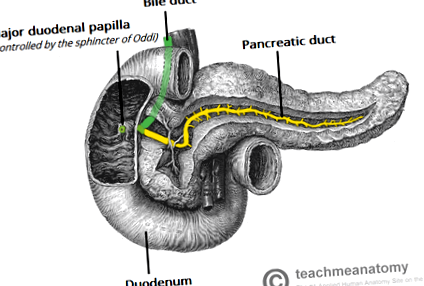 pancreatită