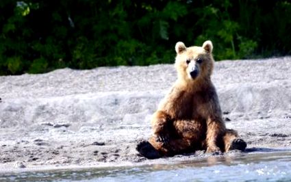 kamchatka