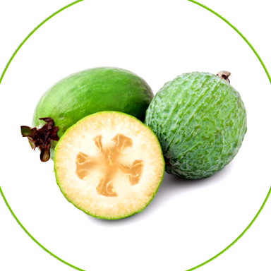 feijoa