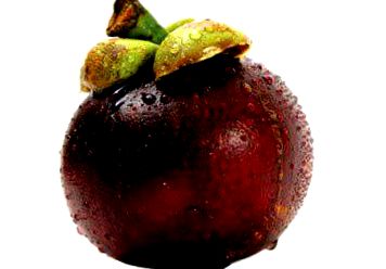 mangostan