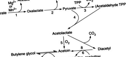 sciencedirect