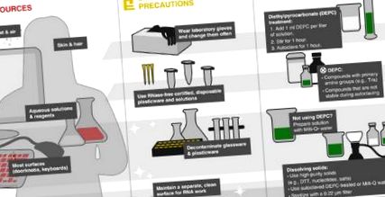 Ligase пресечен