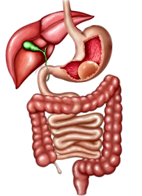 gastric