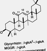 glycyrrhiza