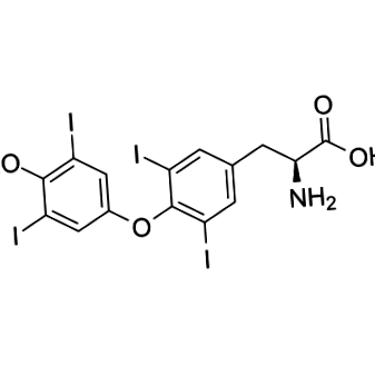 levotiroxină