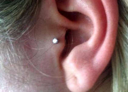 tragus