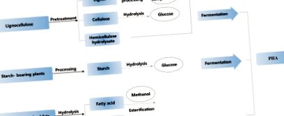 bioplastic