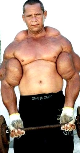 synthol