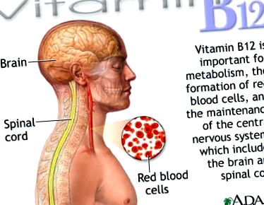 b12-vitamin