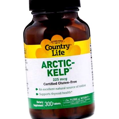 arctic-kelp