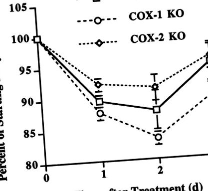 cox-2