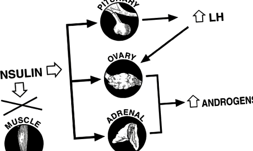 metformin