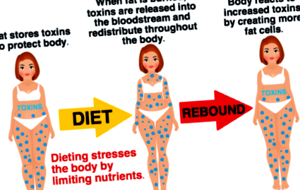 ZenDiet – Mâncare dietetică proaspătă pentru detoxifiere sau slăbire