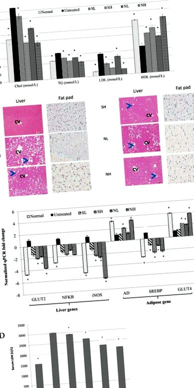 antiinflamatoare