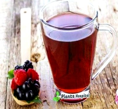 tea ivás és a szív egészsége magas vérnyomású garnélával lehetséges