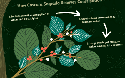 cascara