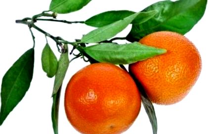 mandarinei