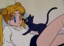 usagi