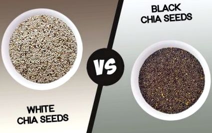 chia