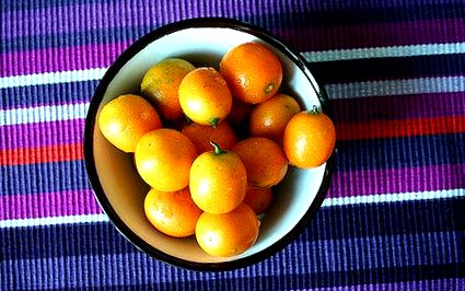 kumquats