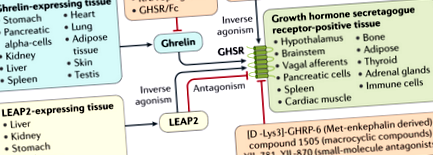 regulator