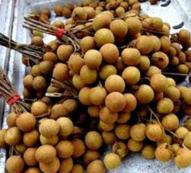 longan