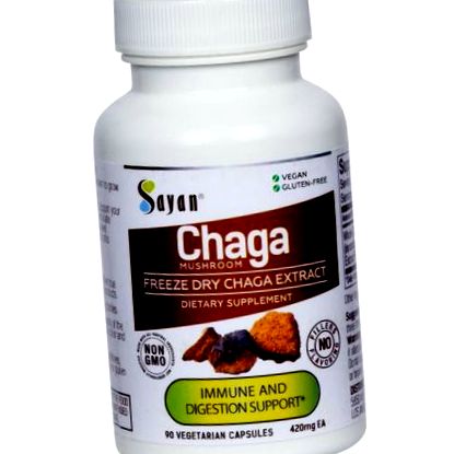 chaga