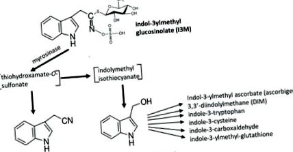 indol-3-carbinolul