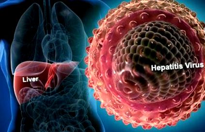hepatice