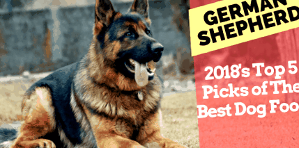 Най-добрите 5 избор на най-добрата храна за кучета за немски овчарки през  2020 г.