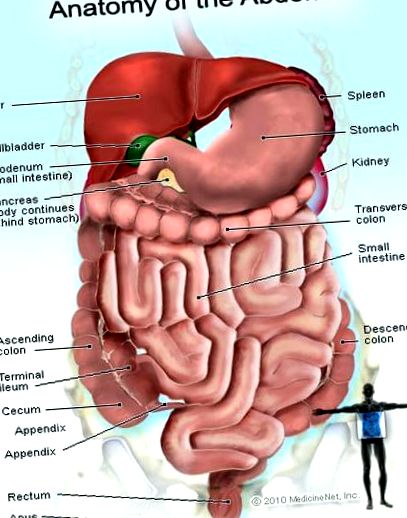 Cancerul intestinal - Simptome - Medic Info