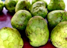 Custard Apple