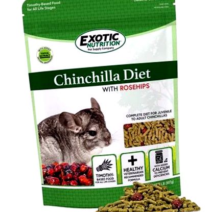 chinchilla